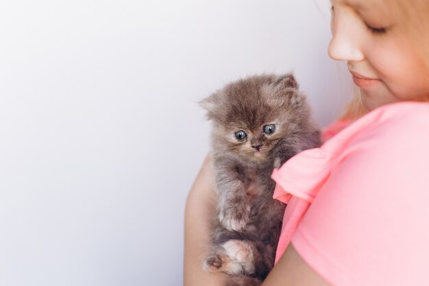 Petit chaton domestique persan mignon dans la main de la jeune fille