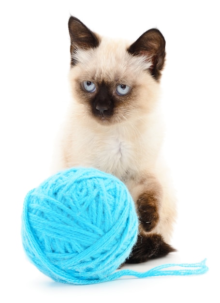 Petit chaton drôle et point d'écoute de fil. Isolé sur blanc