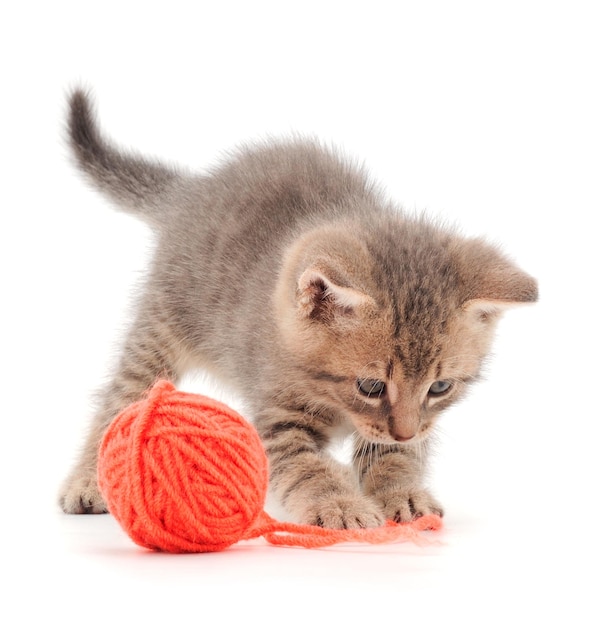 Petit chaton jouant avec une pelote de laine