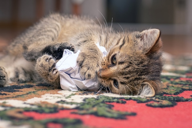 Un petit chaton rayé joue avec du papier froissé