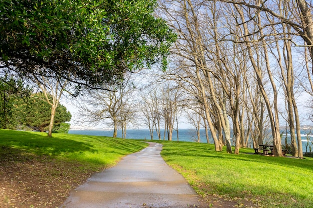 Petit chemin dans un parc naturel entouré d'arbres pour faire de l'exercice et courir