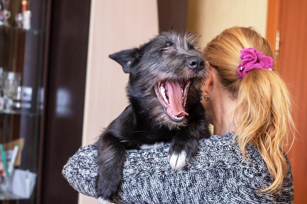 Petit chien noir sur l'épaule d'une femme en gros plan