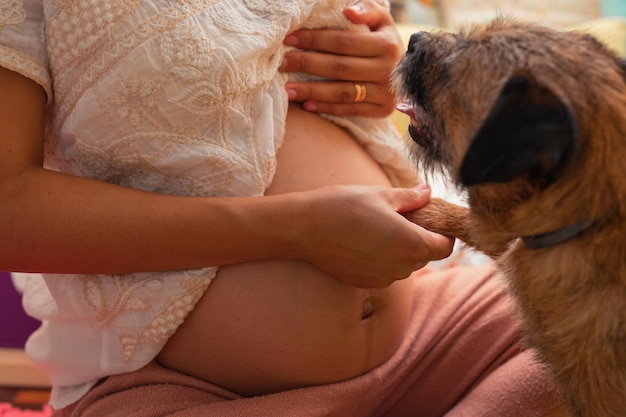 Petit chien touchant le ventre de la femme enceinte