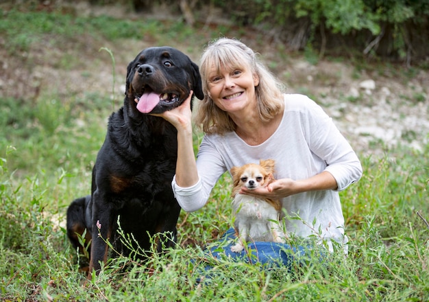 Petit chihuahua et rottweiler dans la nature