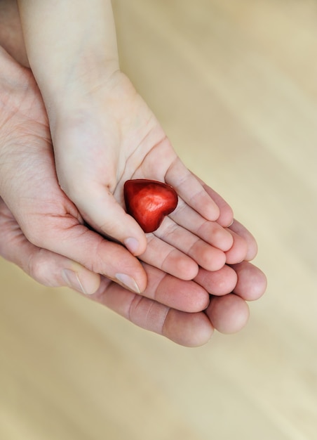 Le petit coeur rouge est entre les mains.