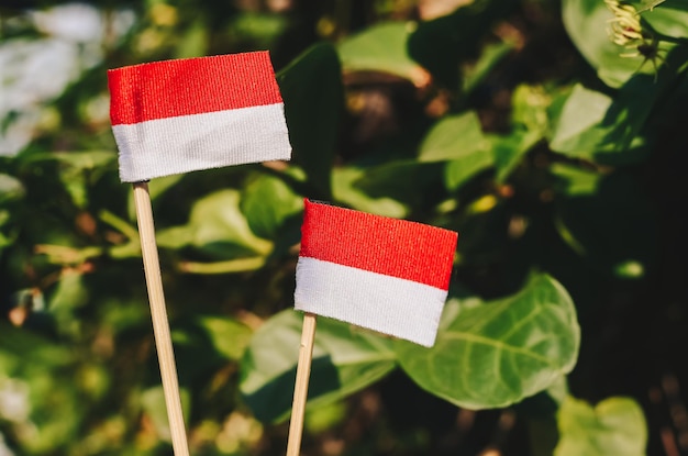 Petit drapeau de couleur blanc rouge sur fond vert flou