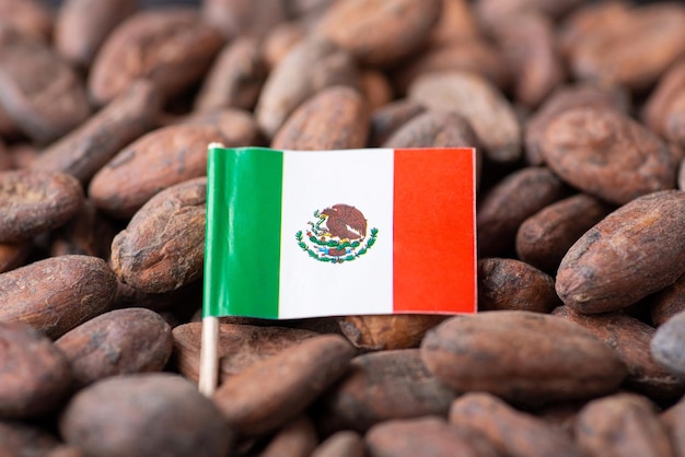 Petit drapeau du Mexique en fèves de cacao