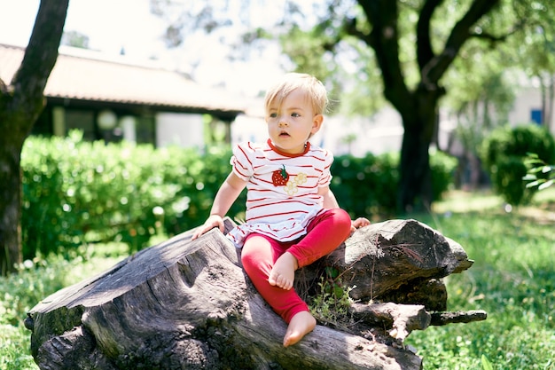 Un petit enfant aux pieds nus est assis sur une énorme souche d'arbre dans un parc verdoyant