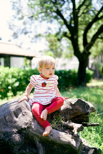 Un petit enfant aux pieds nus est assis sur une souche d'arbre dans un parc verdoyant