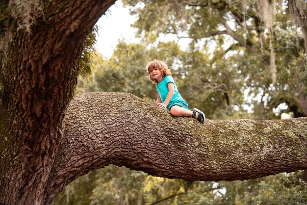 Petit enfant mignon de garçon s'élevant sur le concept de mode de vie d'enfant extérieur de hauteur d'arbre