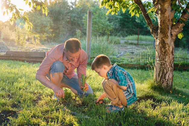 Le petit frère et la sœur plantent des semis avec leur père dans un magnifique jardin printanier au coucher du soleil. Nouvelle vie. Sauver l'environnement. Attitude prudente envers le monde environnant et la nature.