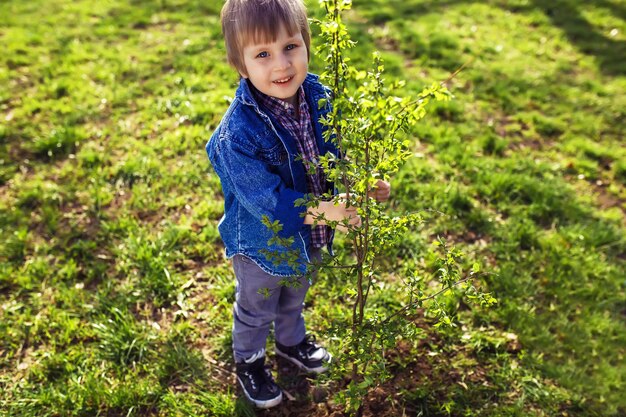 Petit garçon aidant son père à planter l'arbre tout en travaillant ensemble dans le jardin