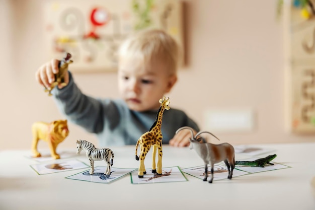 Un petit garçon apprend les animaux en jouant avec des jouets montessori à la maternelle