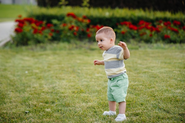 Un petit garçon apprend à marcher sur l'herbe verte du parc. Les premiers pas d'un garçon mignon.