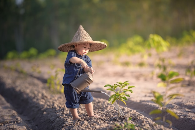 Photo petit garçon, arrosage des arbres dans la thaïlande de garden.asian.