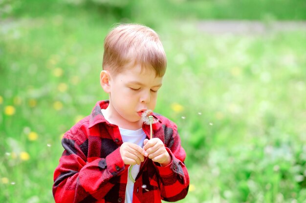 Petit garçon au pissenlit. garçon soufflant sur des pissenlits. enfant en chemise rouge. photographie d'été. souffler les pissenlits