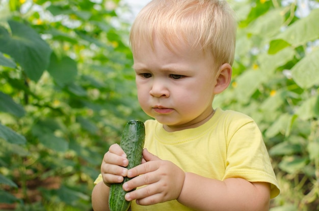 Un petit garçon bambin mange un concombre dans une serre en été closeup portrait