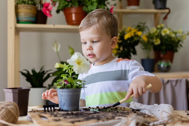 petit garçon blond apparence européenne plantation ou transplantation de plantes d'intérieur Petite aide par les tâches ménagères