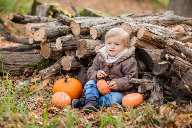 Un petit garçon blond en vêtements d'automne sourit assis dans la forêt sur des rondins avec des citrouilles