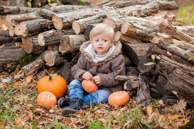 Un petit garçon blond en vêtements d'automne sourit assis dans la forêt sur des rondins avec des citrouilles