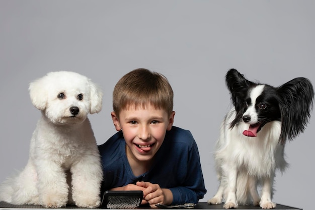 Petit garçon avec des chiens domestiques drôles Enfant avec des chiens Papillon et Bichon Animaux domestiques avec propriétaire