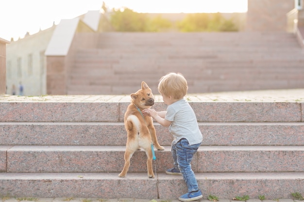 Petit garçon et chiot shiba inu rouge jouant à l'extérieur en été