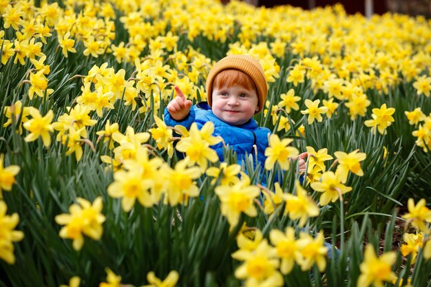 Un petit garçon concentré se promène sur un pré en fleurs et ramasse des narcisse blanches.