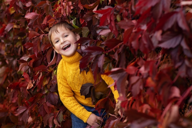 un petit garçon dans la forêt d'automne