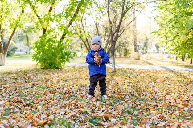 Petit garçon dans le parc d'automne, enfant s'amusant avec des feuilles jaunes