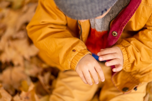 Un Petit Garçon Dans Un Parc En Automne Est Assis Sur Des Feuilles Jaunes Dans Une Veste Jaune Et Tient Une Coccinelle Dans Les Mains Des Enfants. Un Coléoptère Rouge Rampe Sur Les Doigts D'un Enfant.