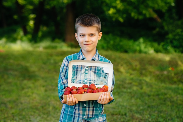 Un petit garçon dans le parc avec un grand panier de fraises.