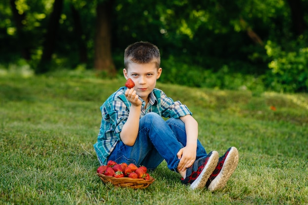 Un petit garçon dans le parc avec un grand panier de fraises.