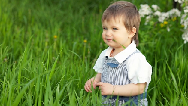 Petit garçon drôle aux yeux bleus brillants en salopette mangeant de l'herbe verte fraîche dans un grand jardin fleuri