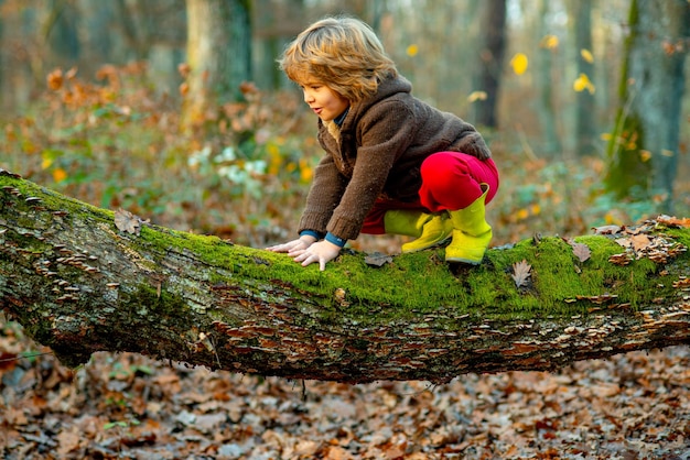 Petit garçon enfant sur une branche d'arbre Enfant grimpe à un arbre