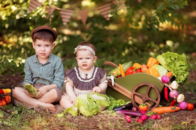 Petit garçon et fille jardinier recueille une récolte de légumes sur la nature. Livraison des produits