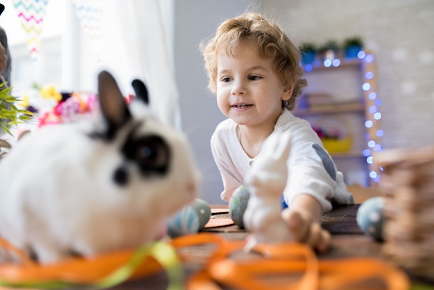 Petit garçon jouant avec un lapin