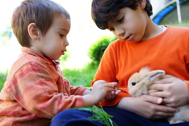 Petit garçon avec le lapin