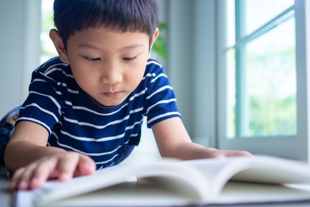 Le petit garçon lit un livre dans la zone de la maison. Apprendre à la maison