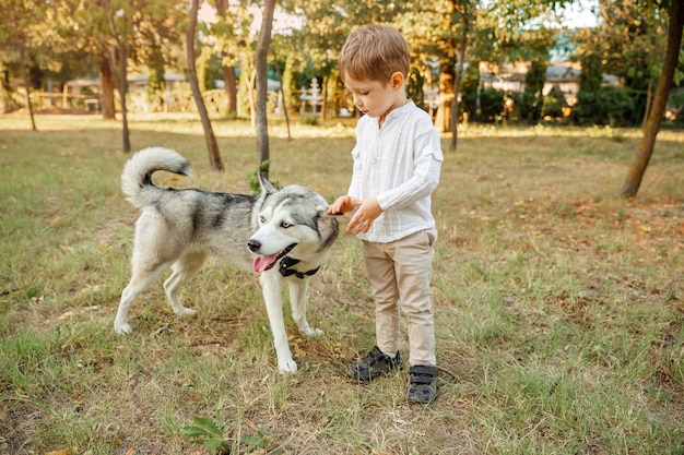 Petit garçon marchant avec un chien. Enfant jouant avec son chiot dans le parc