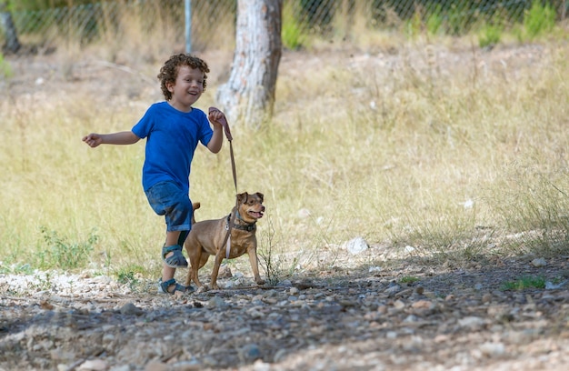 petit garçon marchant et jouant avec son petit chien en forêt