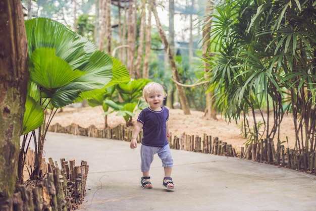 Le petit garçon marche dans le parc