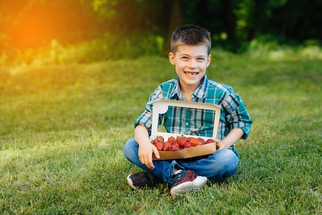 Un petit garçon mignon est assis avec une grande boîte de fraises mûres et délicieuses. Récolter. Fraises mûres. Baie naturelle et délicieuse.