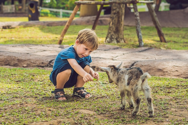 Le petit garçon mignon nourrit une petite chèvre nouveau-née