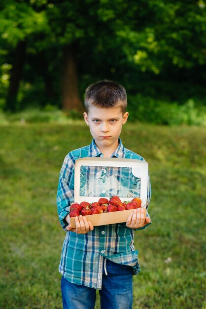 Un petit garçon mignon tient une grande boîte de fraises