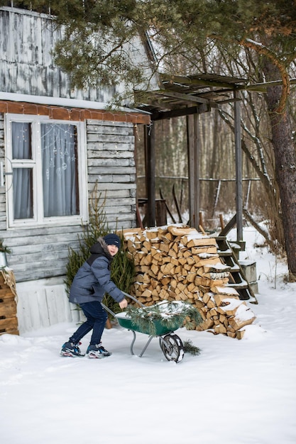 Un petit garçon porte un arbre de Noël sur un traîneau jusqu'à la maison