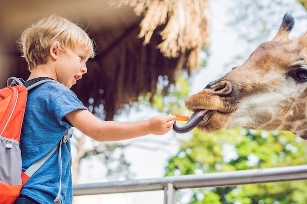 Petit garçon regardant et nourrissant la girafe au zoo. Enfant heureux s'amusant avec le parc safari d'animaux par une chaude journée d'été