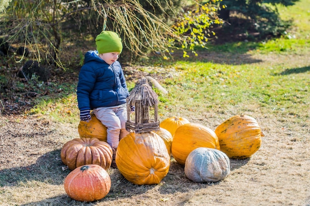 Petit garçon s'amusant avec des citrouilles sur le potiron à la ferme