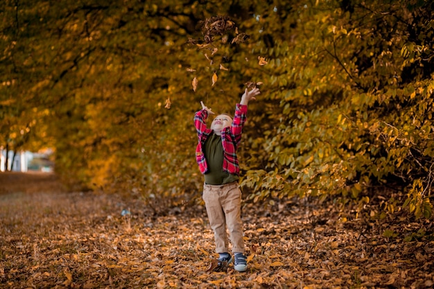 Petit garçon se promène dans la nature en automne, un enfant d'âge préscolaire dans le parc en automne en feuilles jaunes