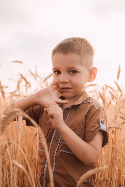 Un petit garçon se tient dans un champ de blé et regarde ailleurs