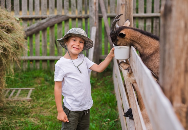 Un petit garçon avec soin nourrit la chèvre. Produit respectueux de l'environnement à la ferme.